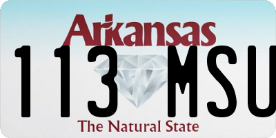 AR license plate 113MSU