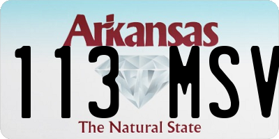 AR license plate 113MSV
