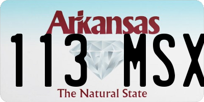 AR license plate 113MSX
