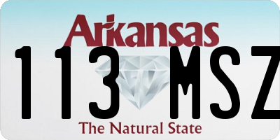 AR license plate 113MSZ