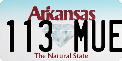 AR license plate 113MUE