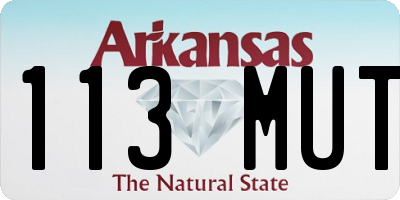 AR license plate 113MUT