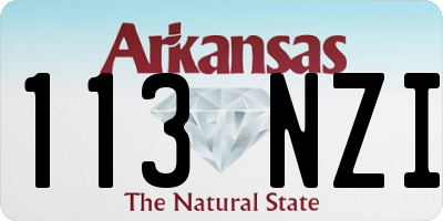 AR license plate 113NZI
