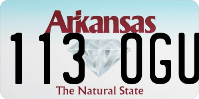 AR license plate 113OGU