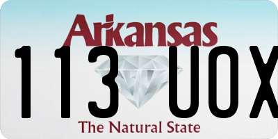 AR license plate 113UOX