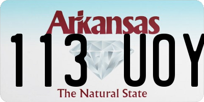 AR license plate 113UOY