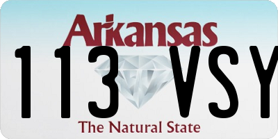 AR license plate 113VSY