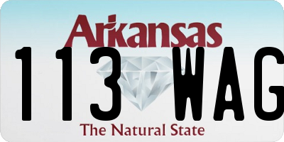 AR license plate 113WAG