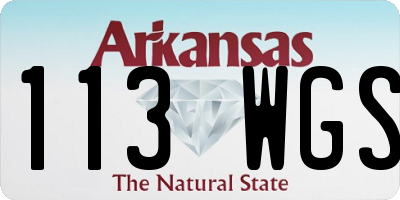 AR license plate 113WGS