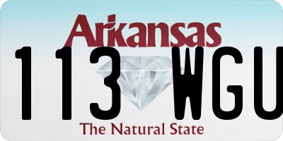 AR license plate 113WGU