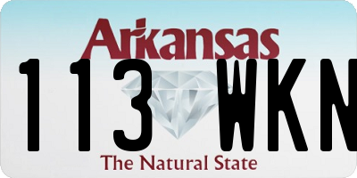 AR license plate 113WKN