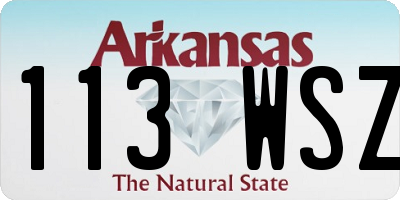 AR license plate 113WSZ