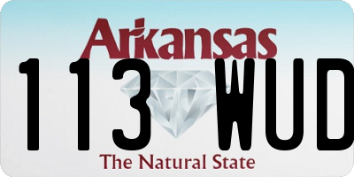 AR license plate 113WUD