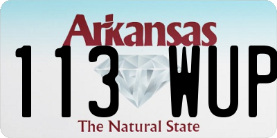 AR license plate 113WUP