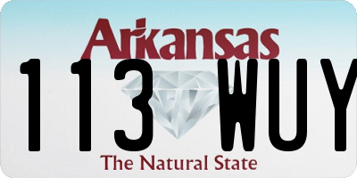 AR license plate 113WUY