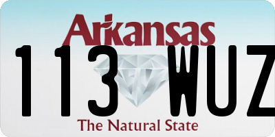 AR license plate 113WUZ