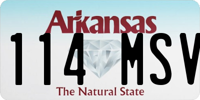 AR license plate 114MSV