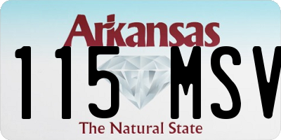 AR license plate 115MSV