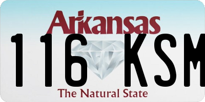 AR license plate 116KSM