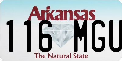 AR license plate 116MGU