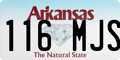 AR license plate 116MJS