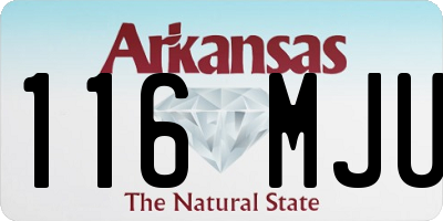 AR license plate 116MJU