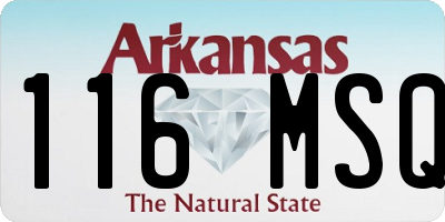 AR license plate 116MSQ