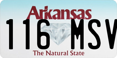 AR license plate 116MSV