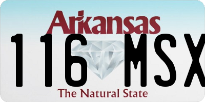 AR license plate 116MSX