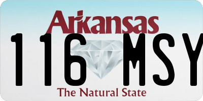 AR license plate 116MSY