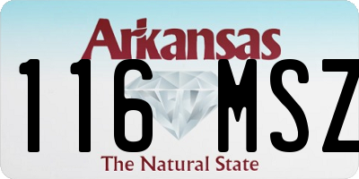 AR license plate 116MSZ