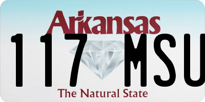 AR license plate 117MSU