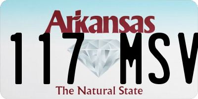 AR license plate 117MSV