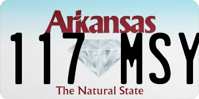 AR license plate 117MSY