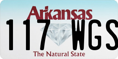 AR license plate 117WGS