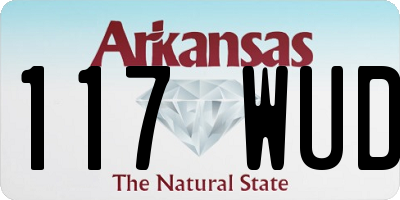 AR license plate 117WUD