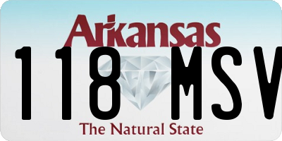 AR license plate 118MSV
