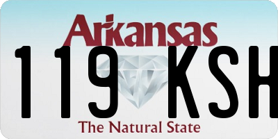 AR license plate 119KSH