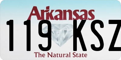 AR license plate 119KSZ