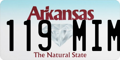 AR license plate 119MIM