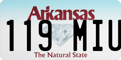 AR license plate 119MIU