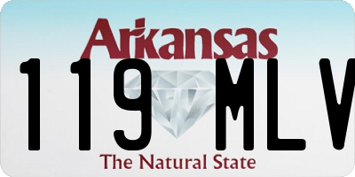 AR license plate 119MLV