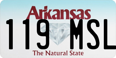 AR license plate 119MSL