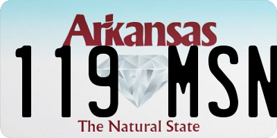 AR license plate 119MSN