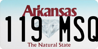 AR license plate 119MSQ