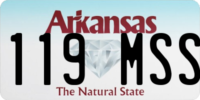 AR license plate 119MSS