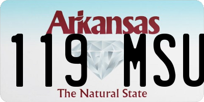 AR license plate 119MSU