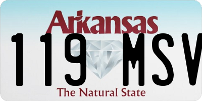 AR license plate 119MSV