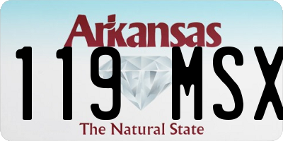 AR license plate 119MSX