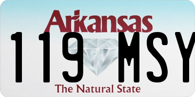 AR license plate 119MSY